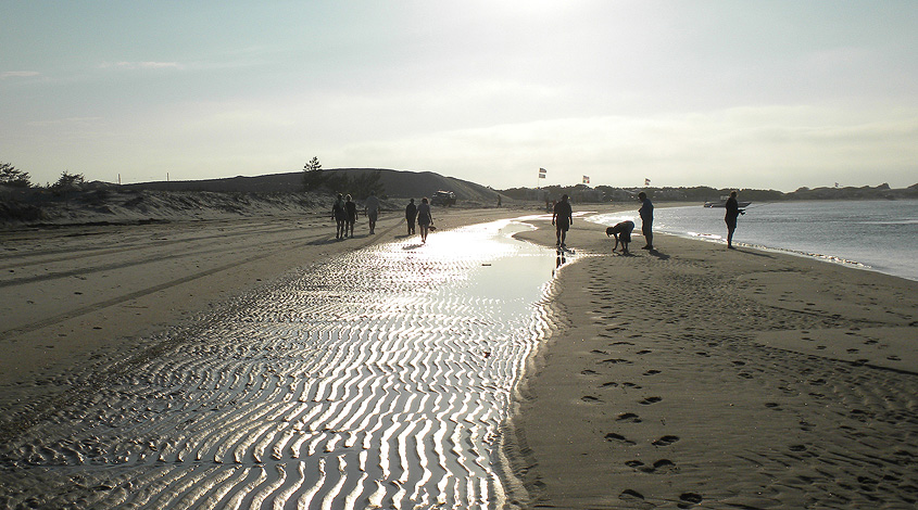 Robert Moses State Park 2003